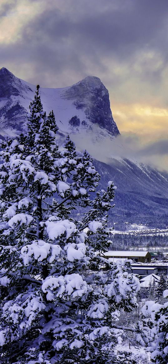 canada, mountain, alberta, banff national park, snow, winter