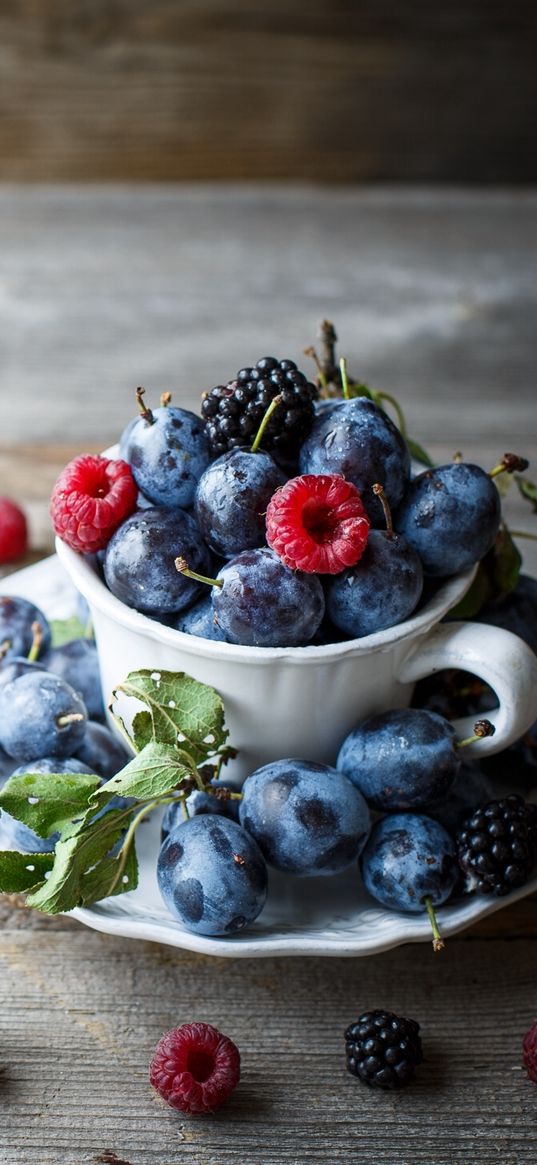 blackberries, raspberries, berries