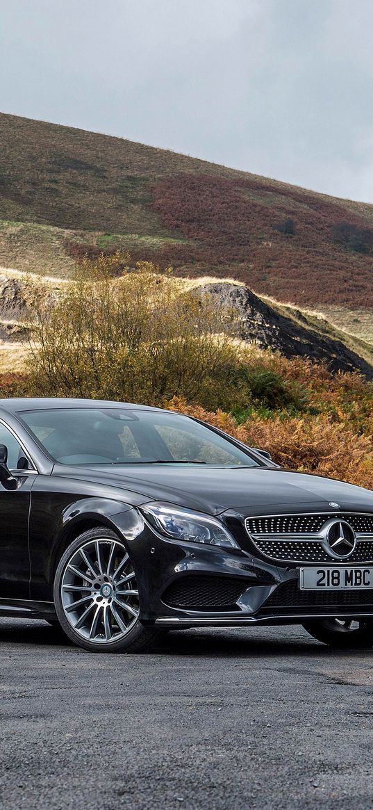 mercedes-benz, cls 350, black, side view