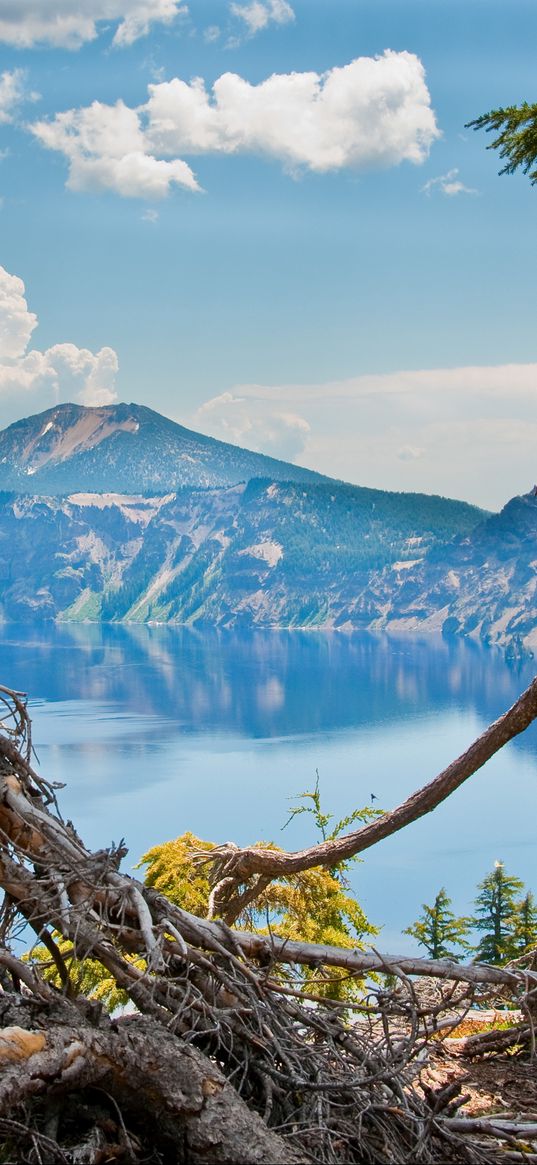 oregon, united states, mountains, trees