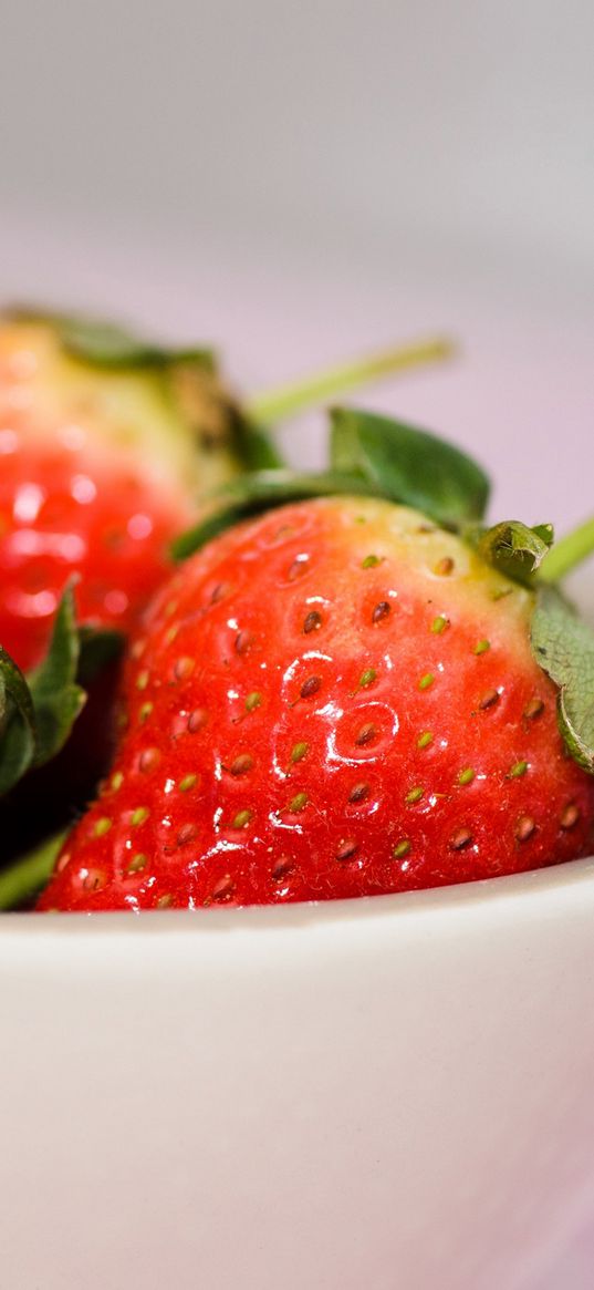 strawberry, bowl, berry