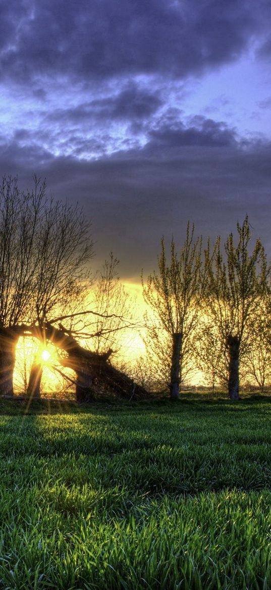 field, grass, night, barn, hdr