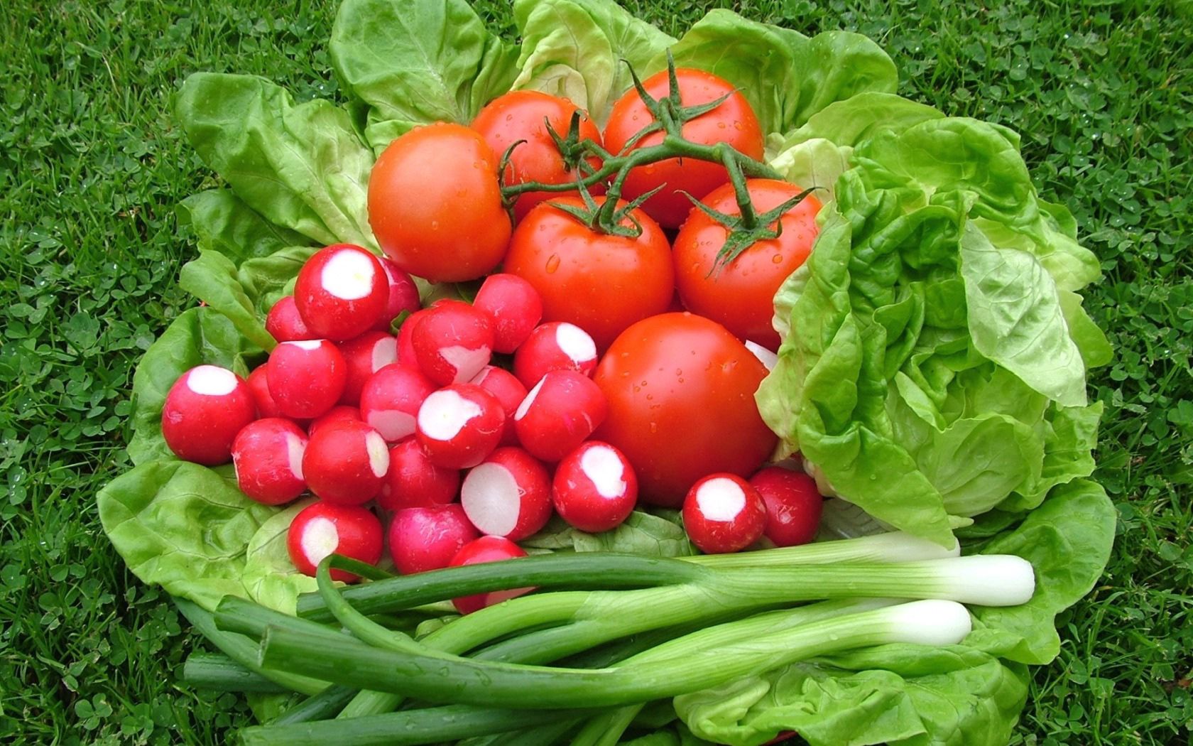 radish, tomatoes, lettuce, onions