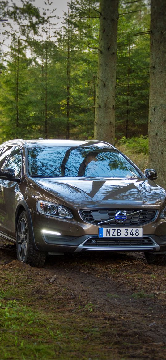 volvo, v60, forest, front view