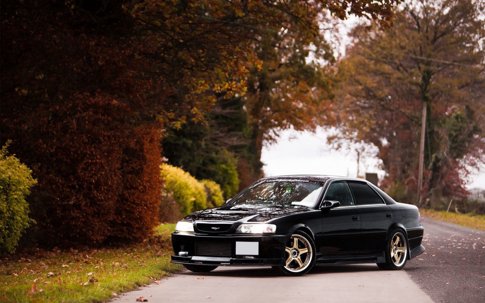 toyota, chaser, side view, autumn