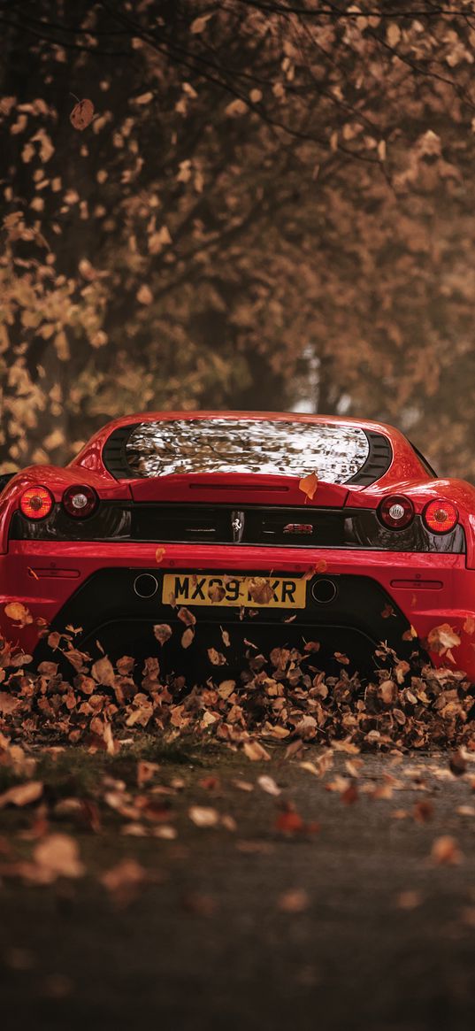 ferrari, scuderia, racing, red, rear view, autumn