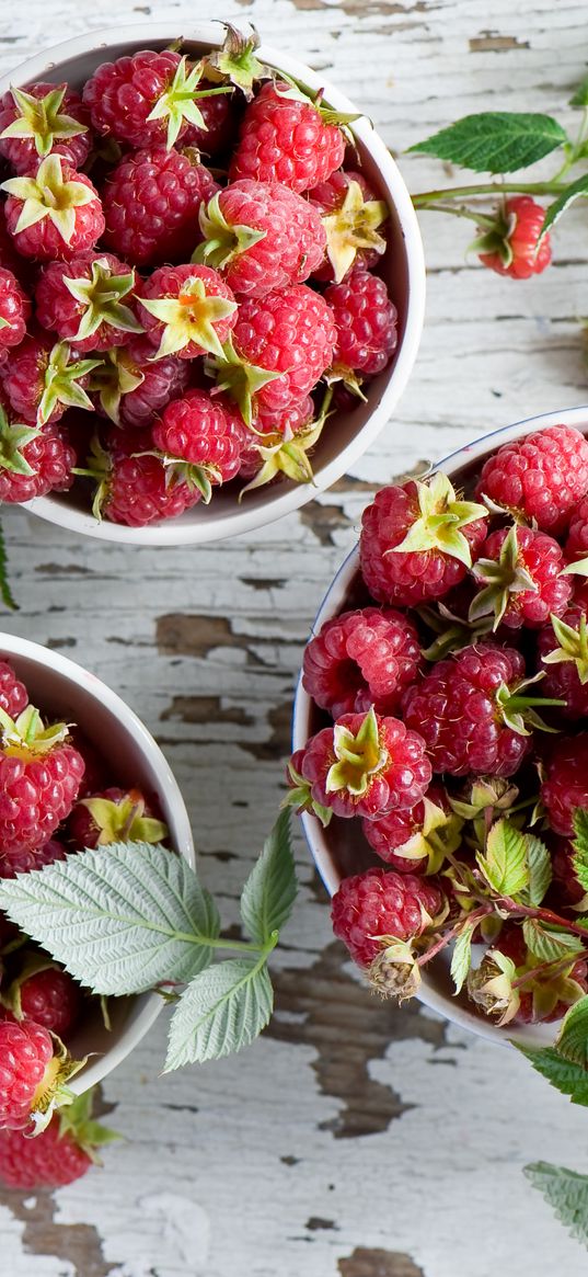 raspberry, bowl, fruit, table