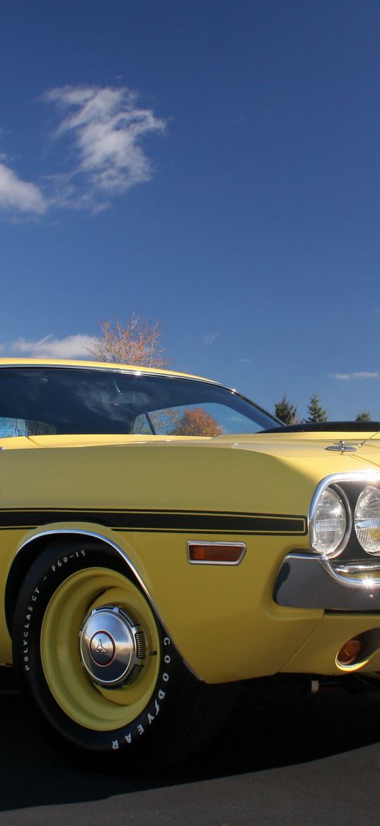 dodge, challenger, side view, yellow