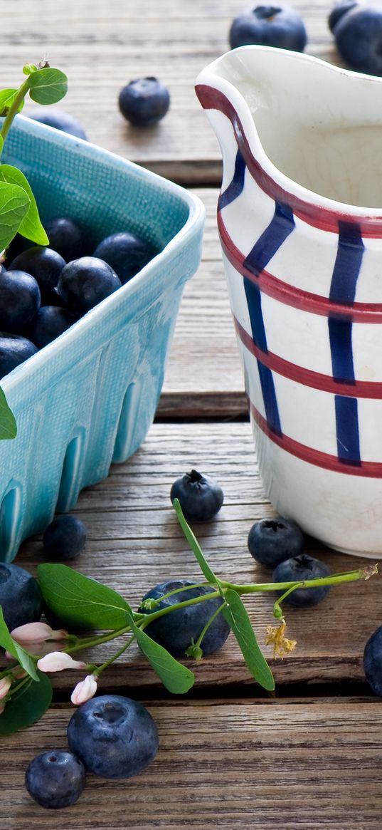 berries, blackberries, blueberries, pitcher