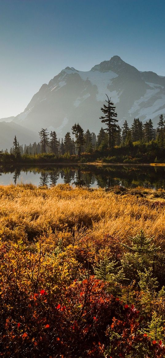 shuksan, cascade mountains, washington, grass, sky