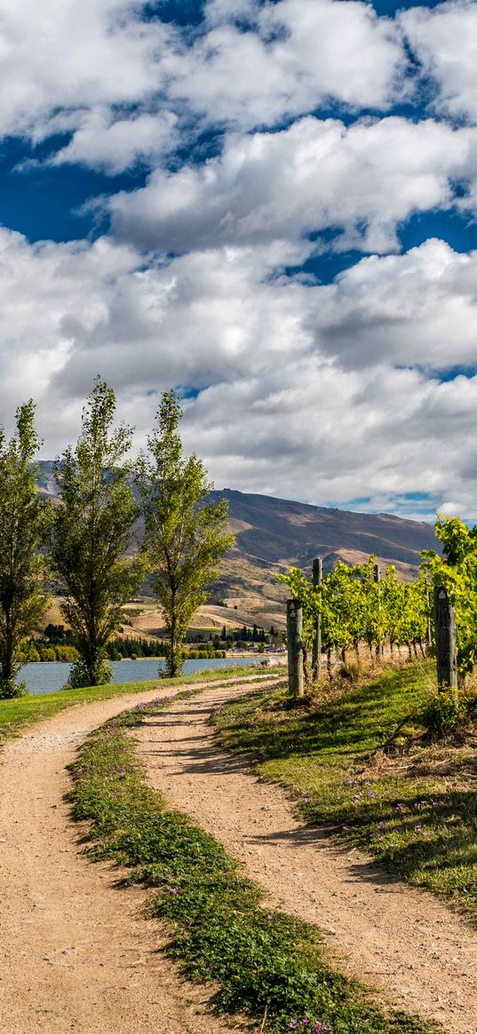 new zealand, mountain, river, trail, trees