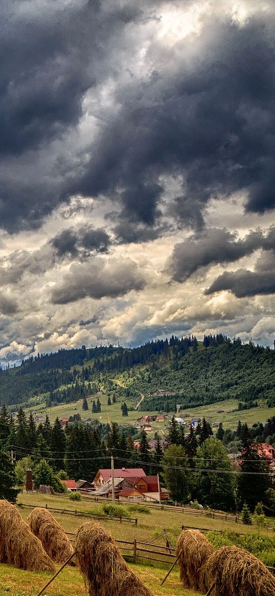 ukraine, bukovel, carpathians, field, grass