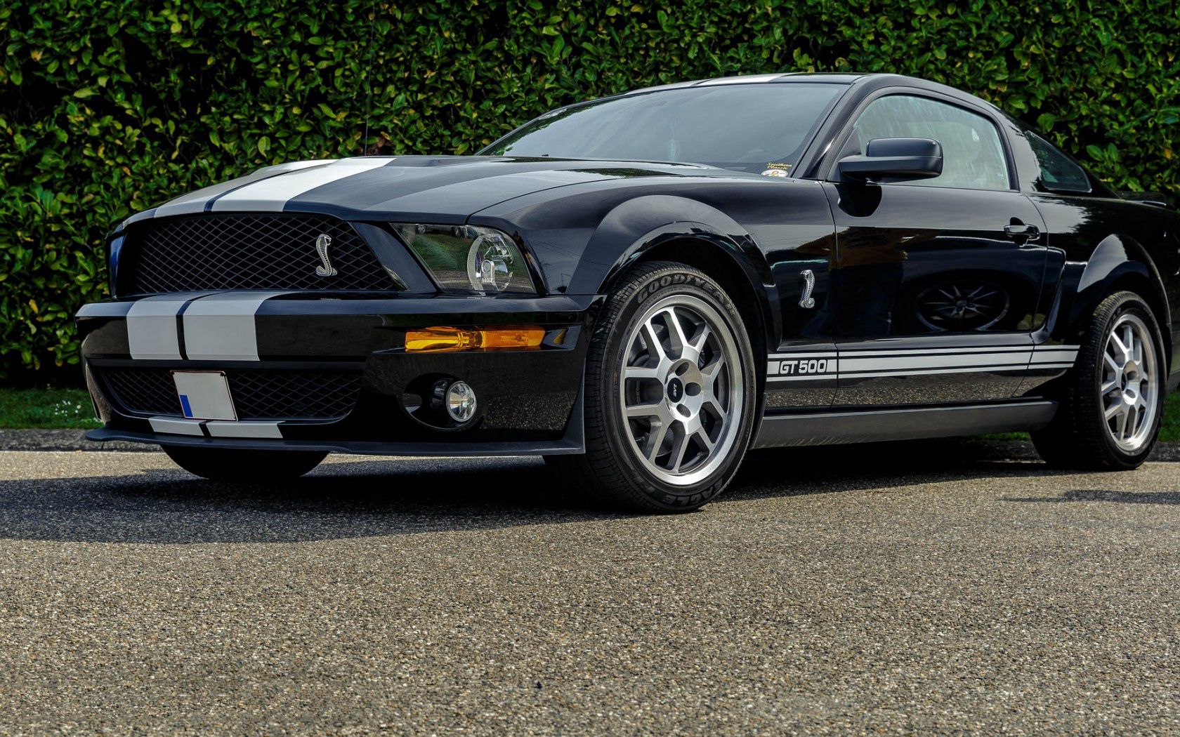 shelby, gt500, side view