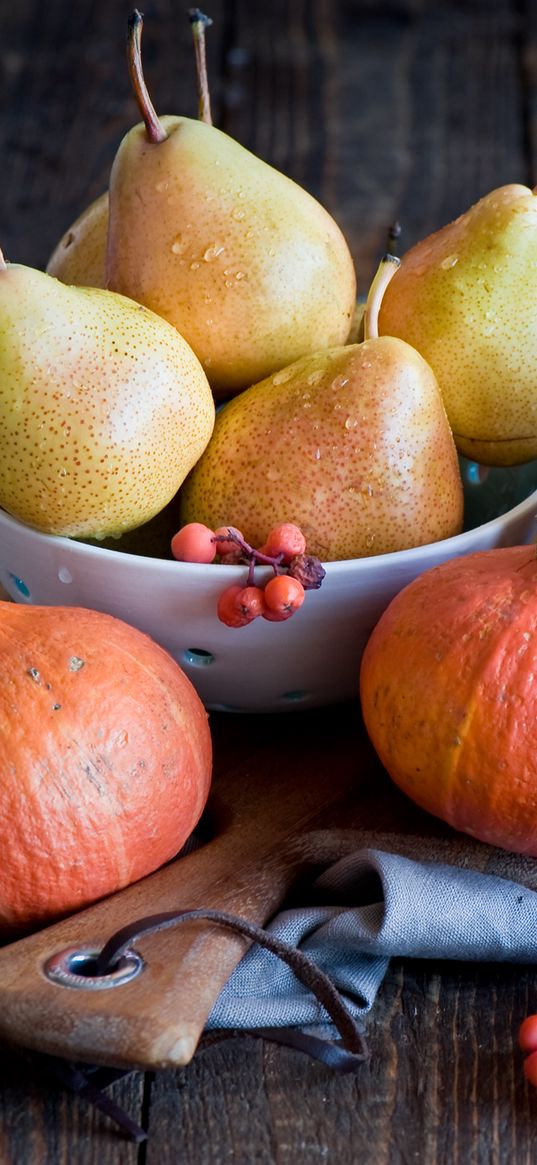 pears, squash, mountain ash, plate