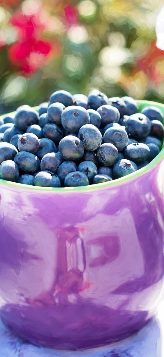 blueberries, pitcher, cup