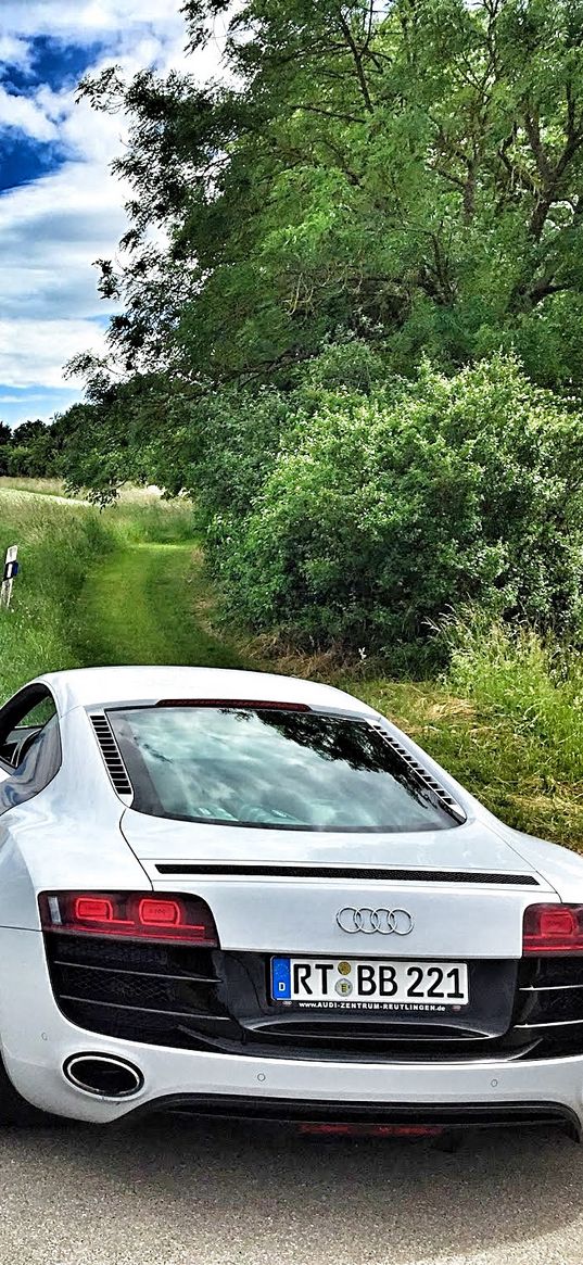 audi, r8, v10, rear view