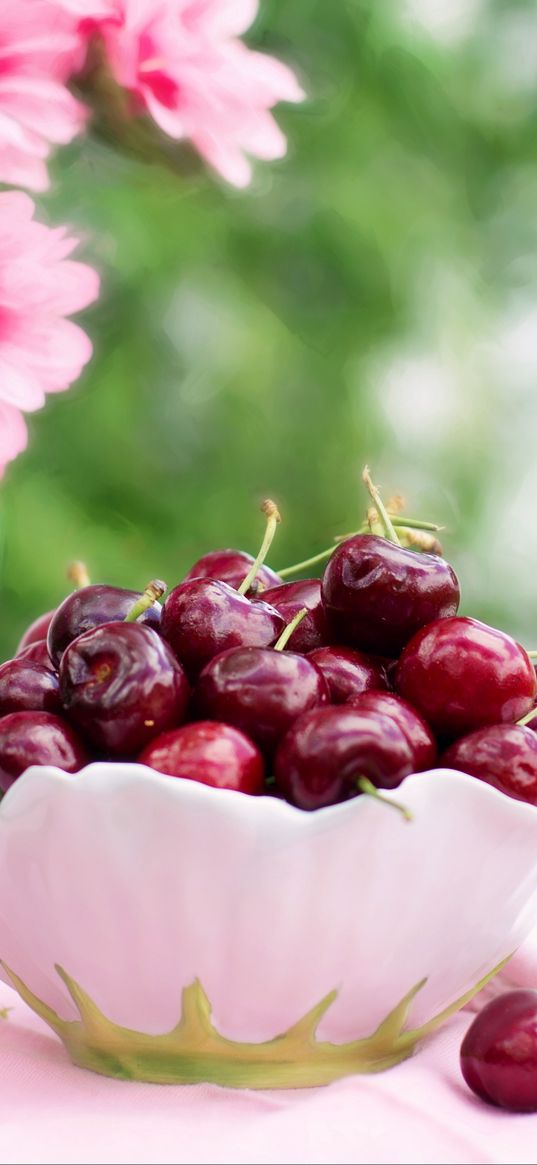 cherries, cherry, dish, flowers