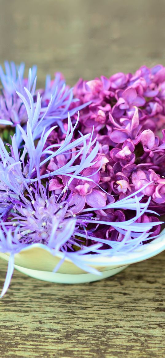 lilac, cornflower, flowers, decoration