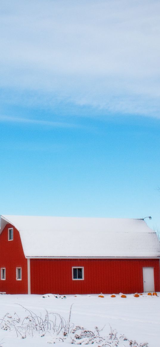 barn, winter, sky, tree