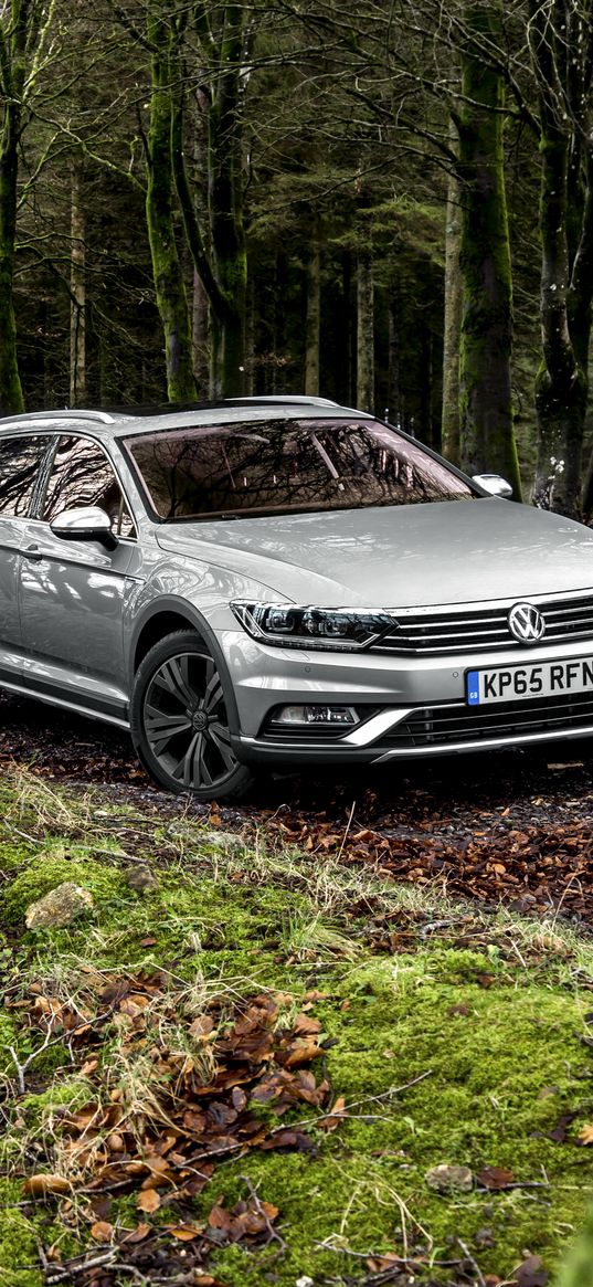 volkswagen, passat, side view, moss, forest