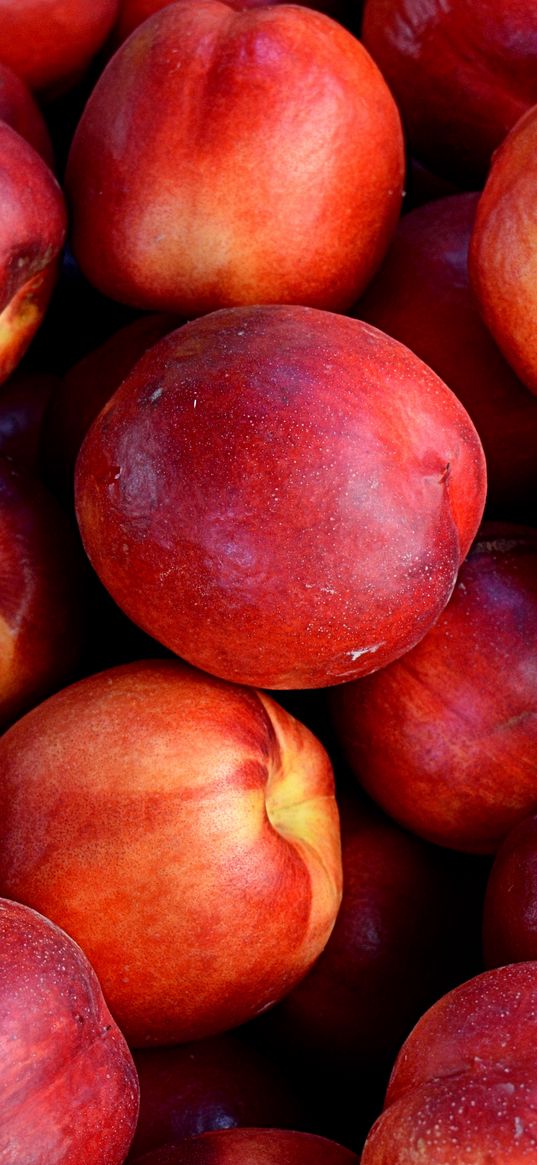 nectarines, fruit, ripe