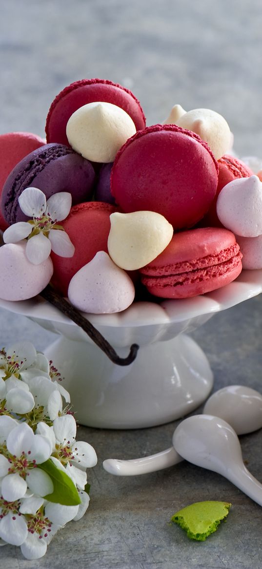 macaron, cookies, baked goods, flowers