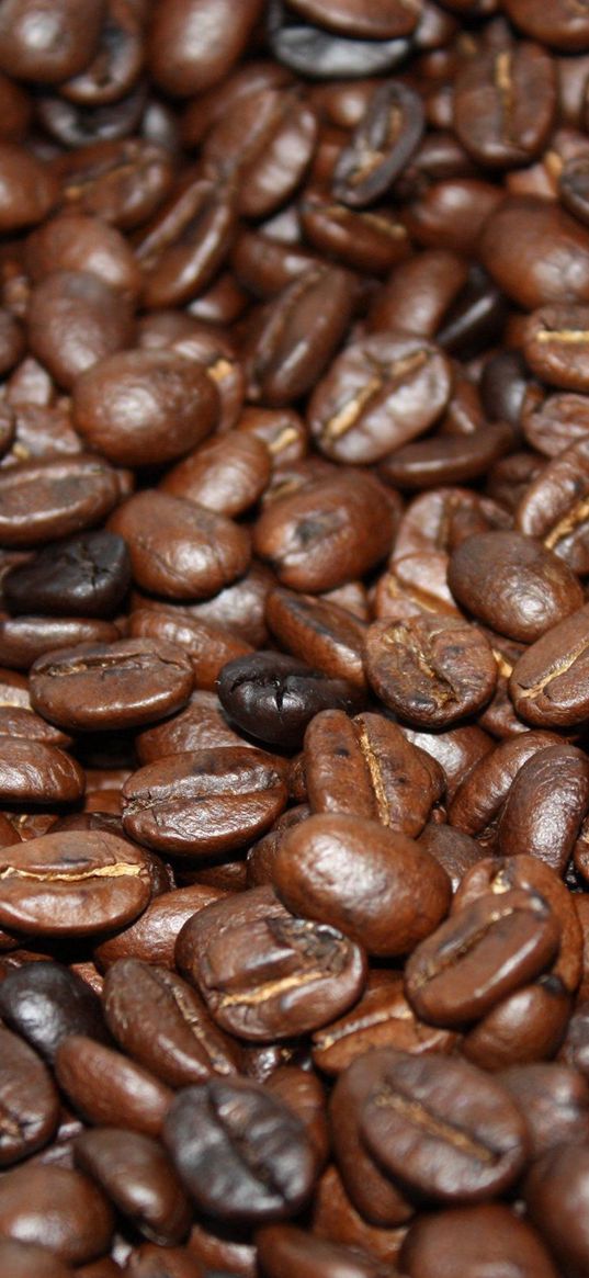 coffee, beans, roasted