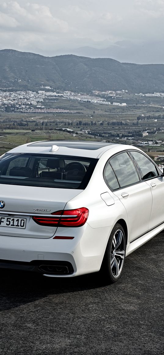 bmw, 750li, xdrive, white, rear view