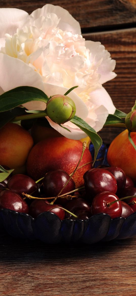 flowers, peonies, cherry, nectarine