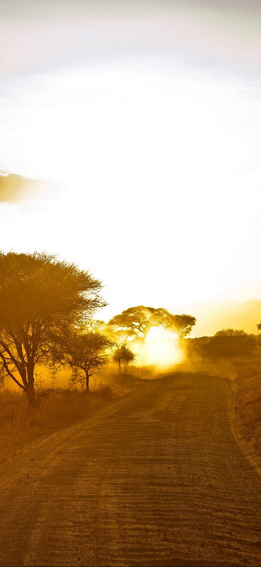 africa, road, sunrise, sand, trees