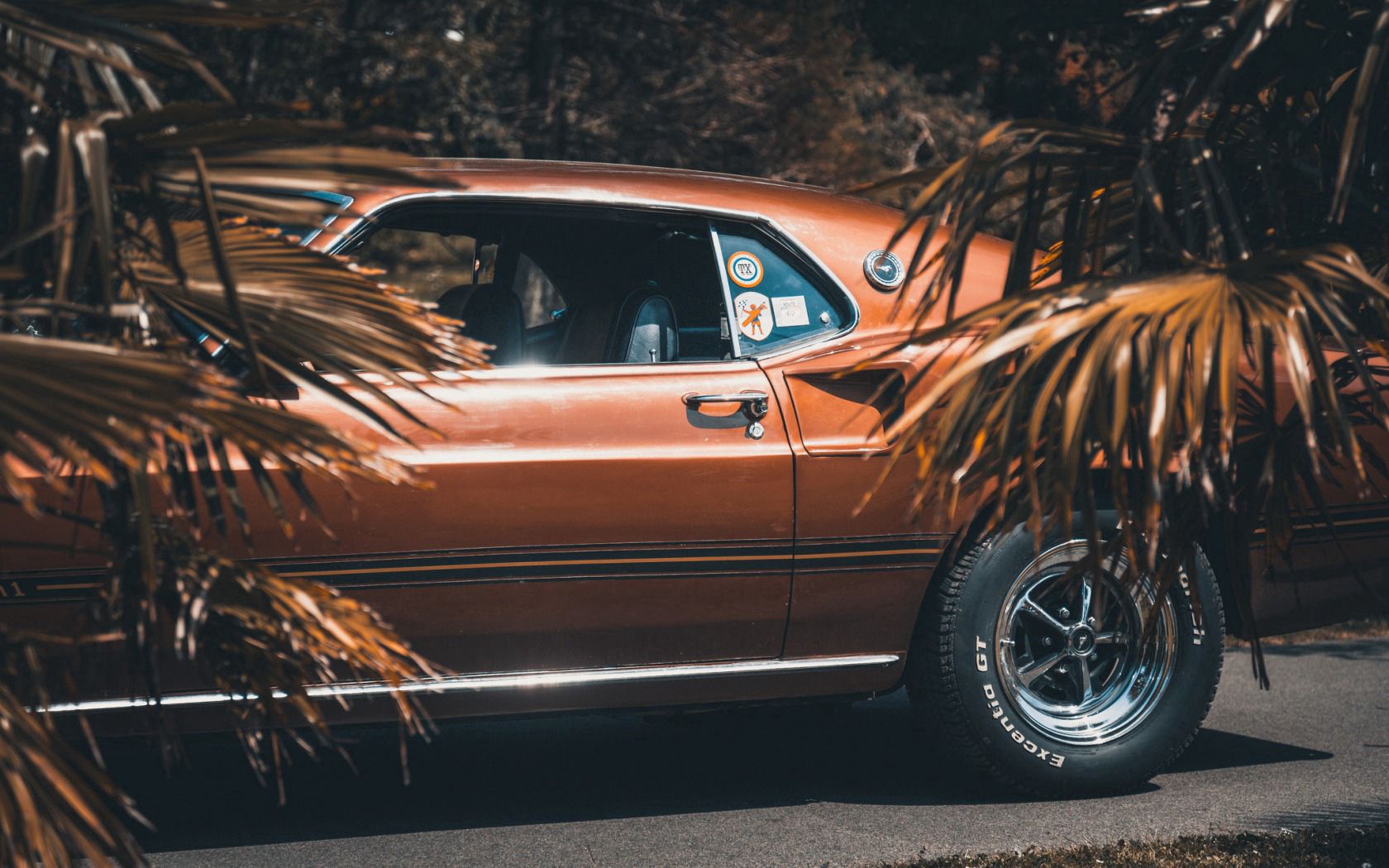 ford mustang, 1969, side view, wheel