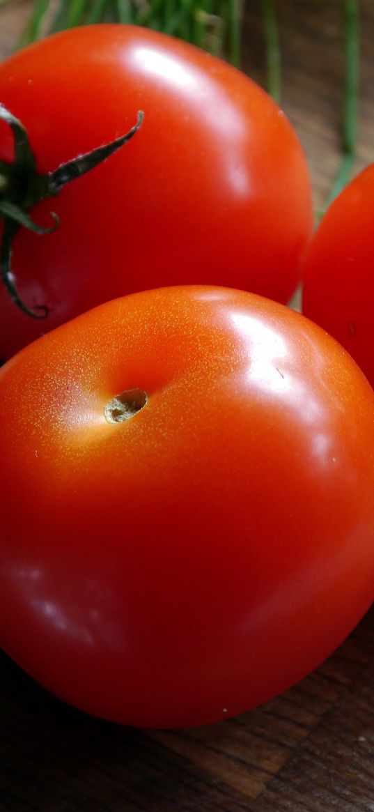 tomatoes, tomato, ripe, vegetable