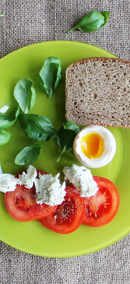 bread, egg, tomatoes, basil, cheese