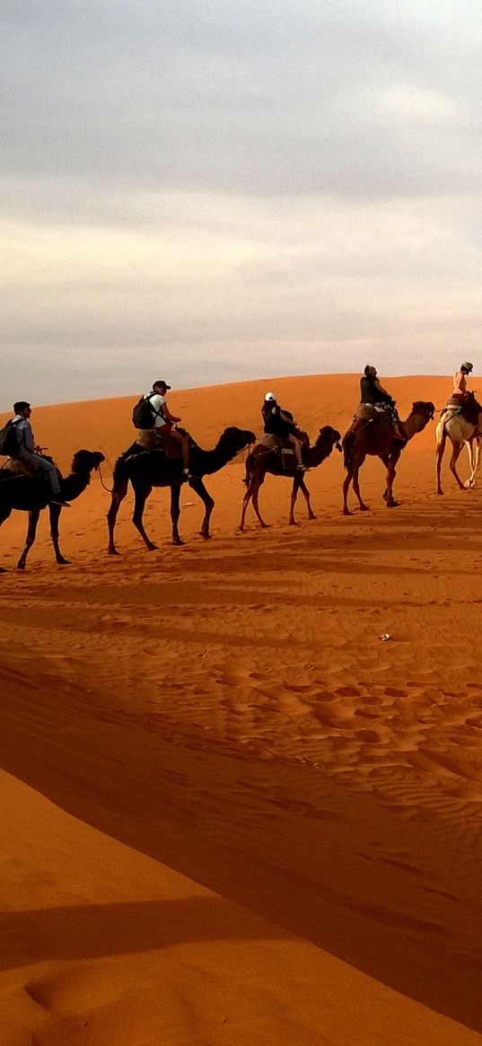 camels, caravan, desert, safaris, dune