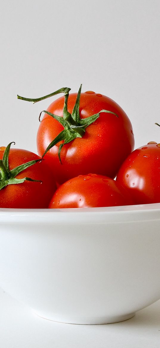 tomatoes, tomato, tray, vegetables