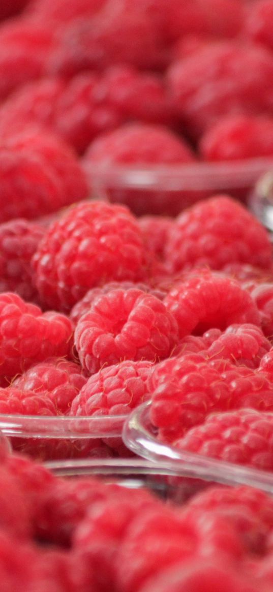 raspberry, berry, ripe, bowl