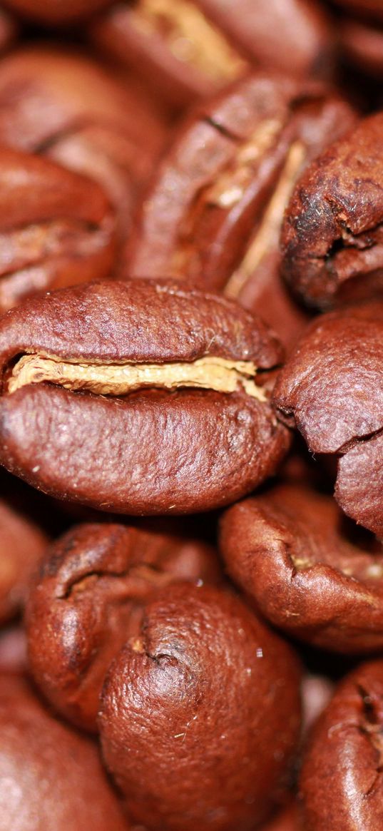 coffee beans, coffee, macro