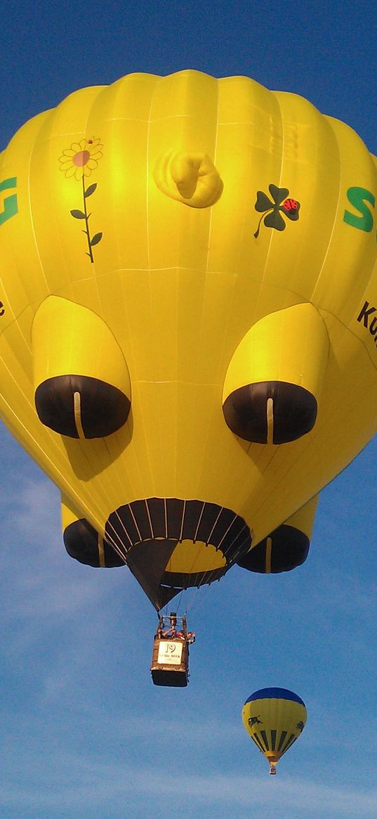 air balloon, sky, bright, flight