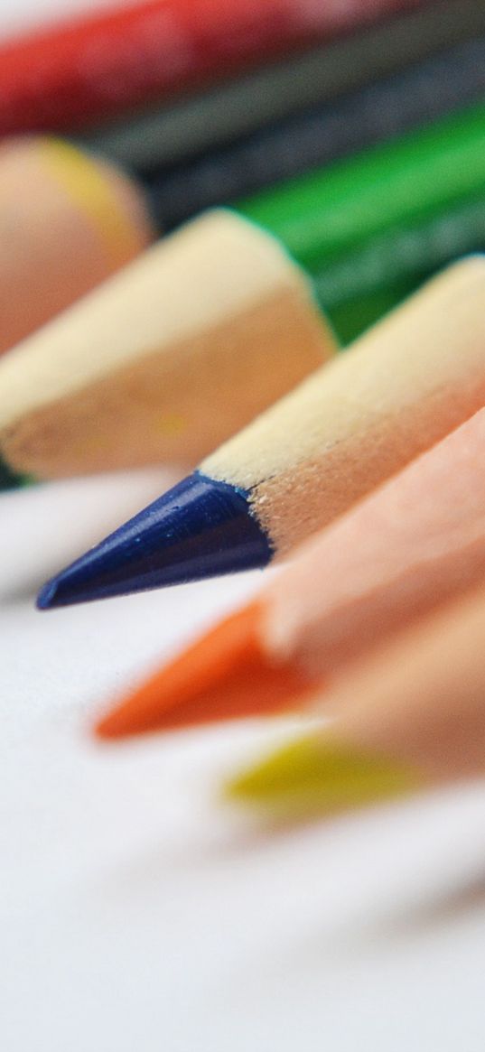 colored pencils, sharp, bright