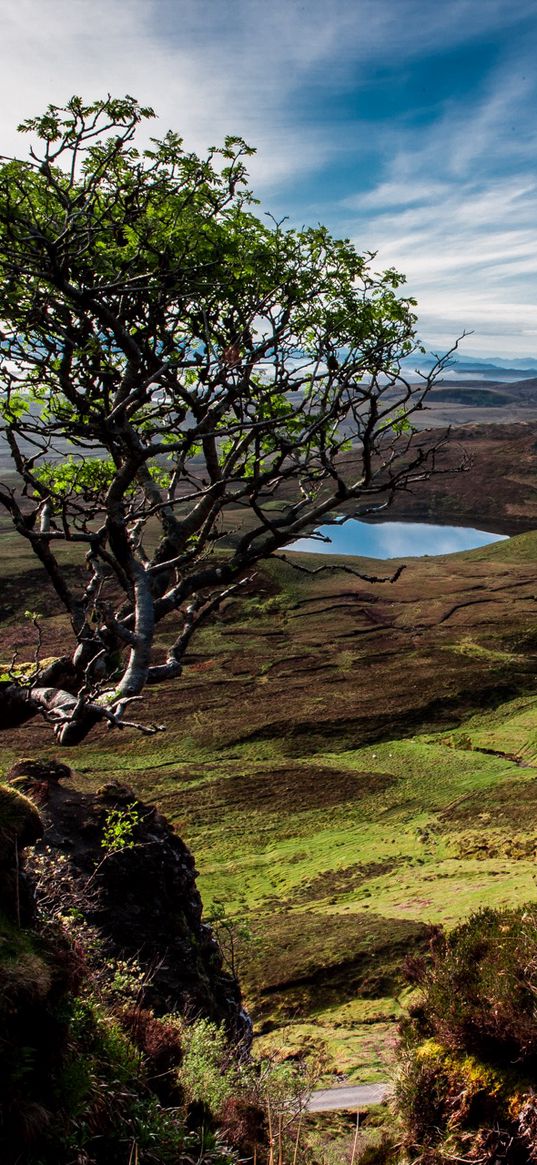 scotland, trees, mountains, lake