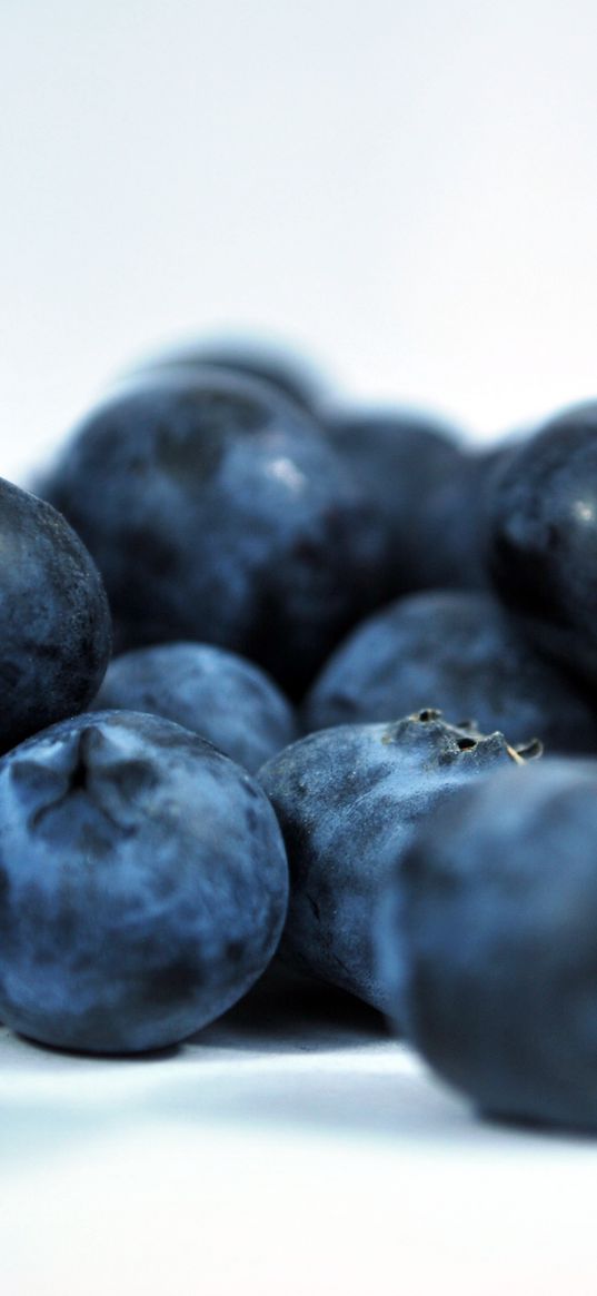 blueberries, berries, ripe