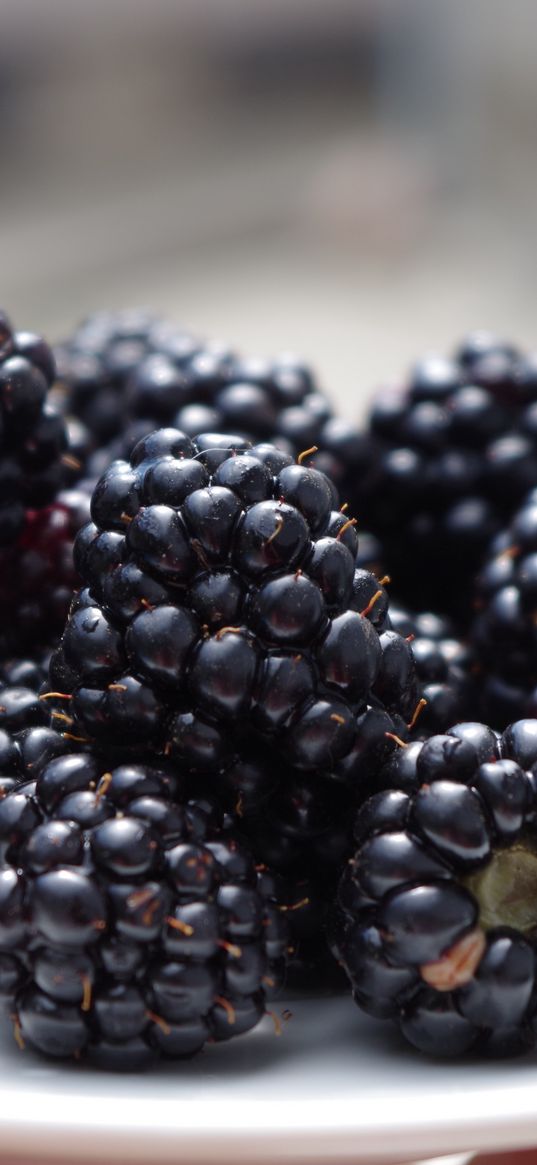 blackberries, dish, ripe, berries