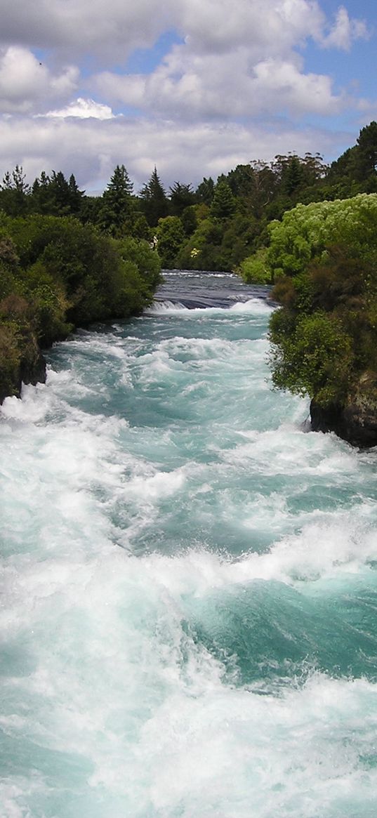 new zealand, river, flow, trees