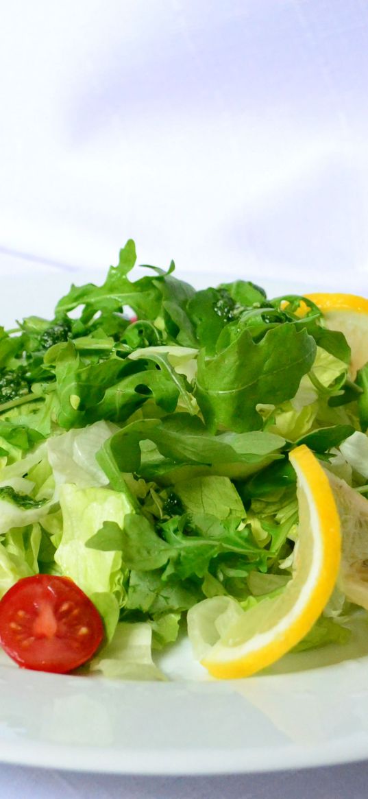 salad, lemon, cherry tomatoes, fresh herbs