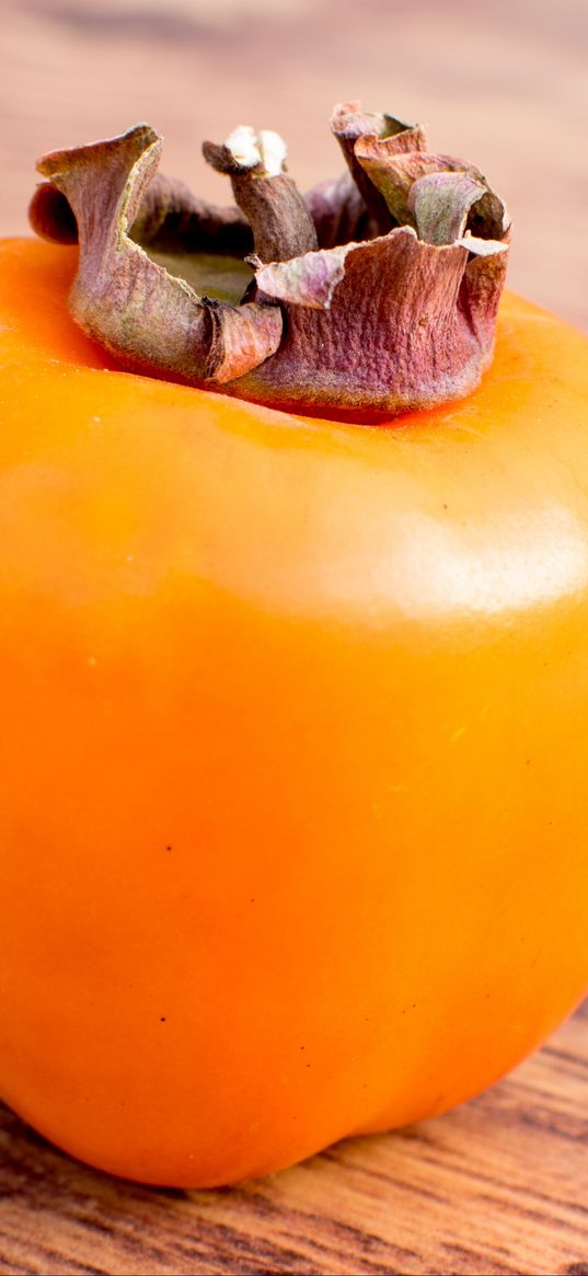 persimmon, fruit, ripe