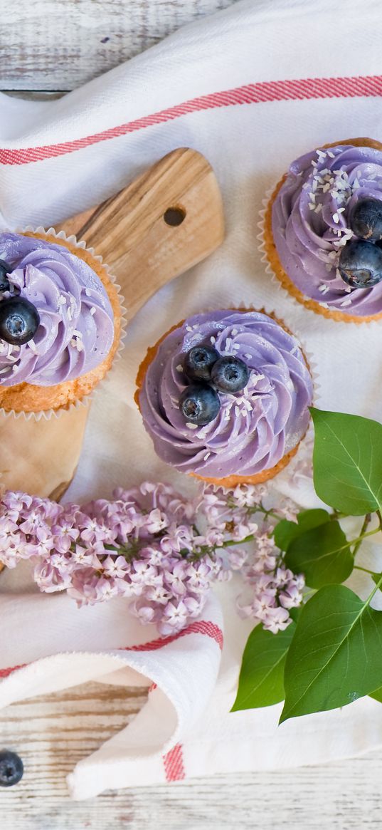 muffins, blueberry, cream, lilac