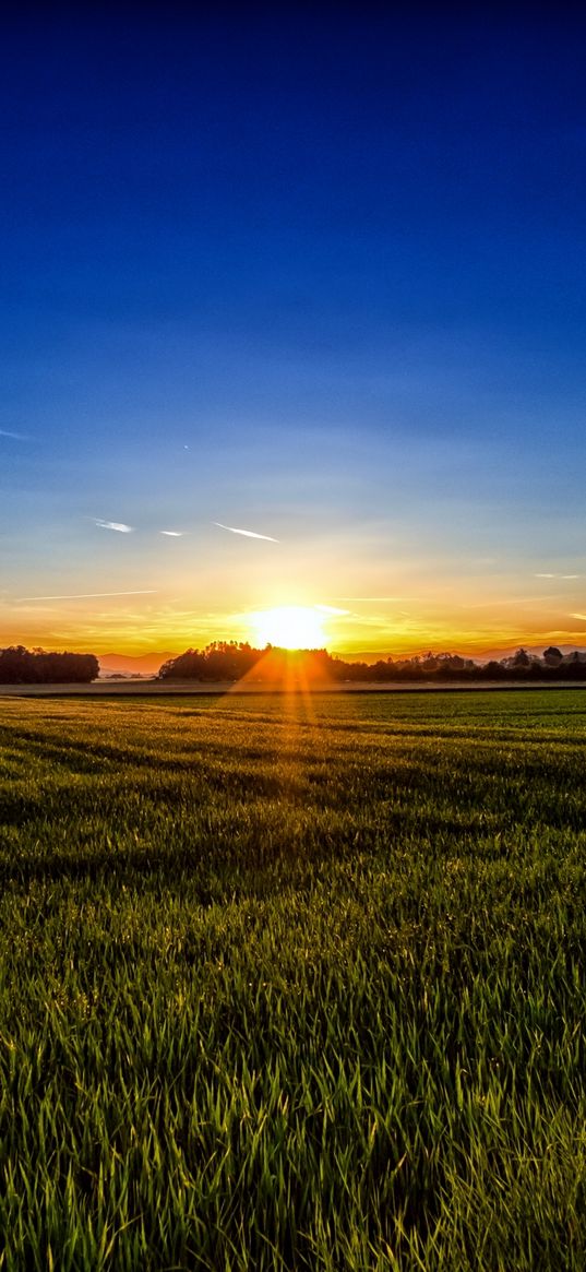 carinthia, austria, grass, sunset