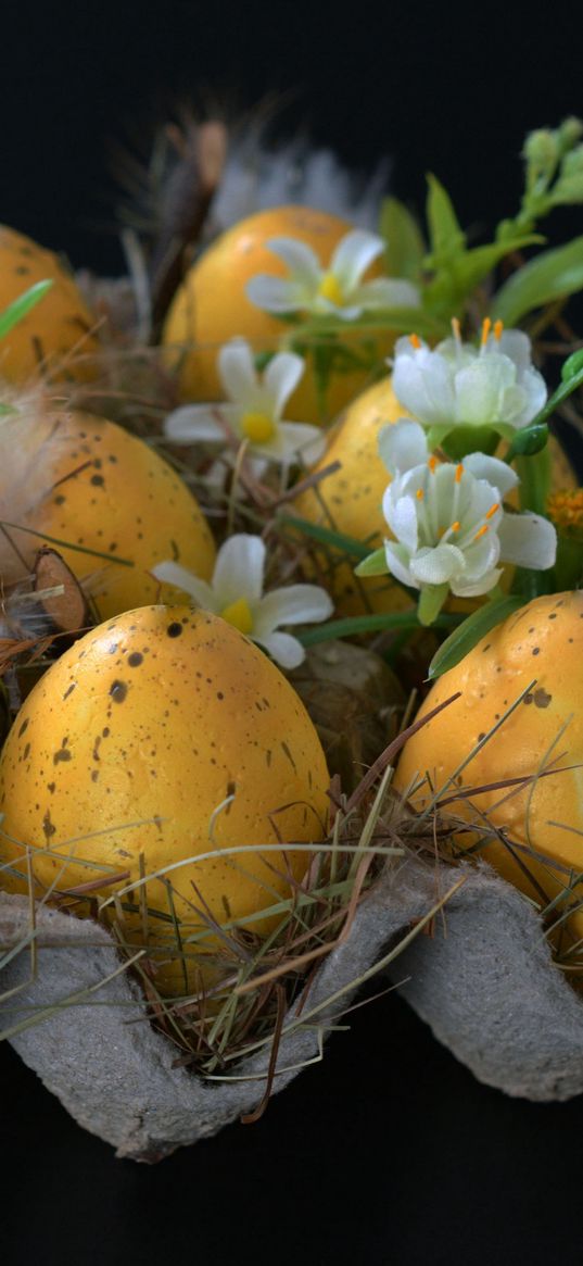 easter, easter eggs, eggs, ornaments, feathers, flowers