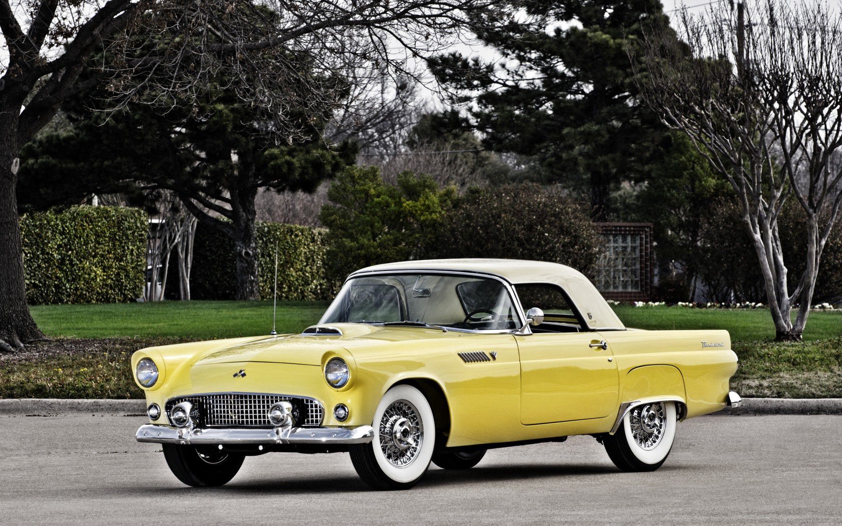 ford, thunderbird, 1955, yellow, side view