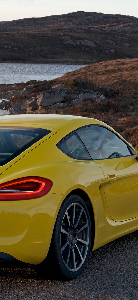 porsche, cayman s, yellow, rear view